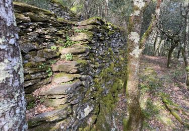 Trail Walking Saint-Privat-de-Vallongue - Saint Privat de Vallongues - Photo