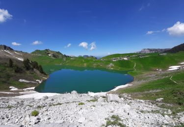 Trail Walking Le Grand-Bornand - BARGY: LE CHINAILLON - LAC DE LESSY - Photo