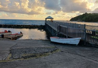 Tocht Stappen Le Marigot - Boucle Le Mariigot - Charpentier - SLNA. - Photo