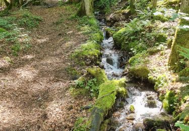 Trail Walking Morillon - autour de Morillon 74 . - Photo