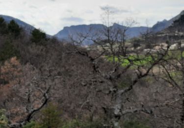 Tocht Stappen Sainte-Euphémie-sur-Ouvèze - Sainte Euphémie- sur - Ouveze 16 km - Photo