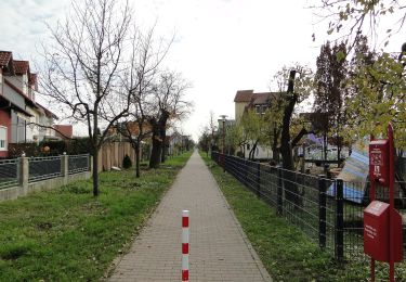 Tour Zu Fuß Leimen - Rundwanderweg Leimen 1: St. Ilgener-Weg - Photo