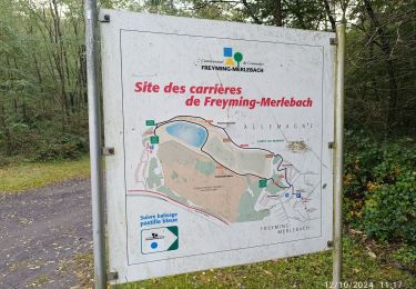 Tour Wandern Freimengen-Merlenbach - carrière barrois - Photo