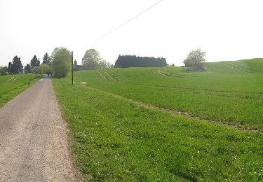 Excursión A pie Melle - Aussichts- und Waldwanderweg L2 - Photo