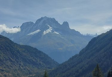 Randonnée Marche Vallorcine - 20231003 Le Buet Les granges - Photo
