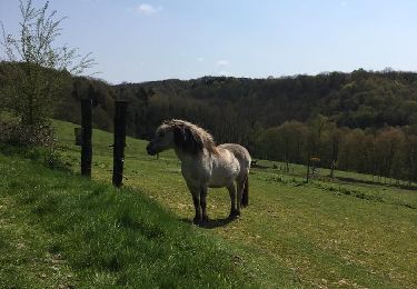 Excursión Senderismo Yvoir - GODINNE ... par la Ferme d'Ahinvaux et d'Anway. - Photo