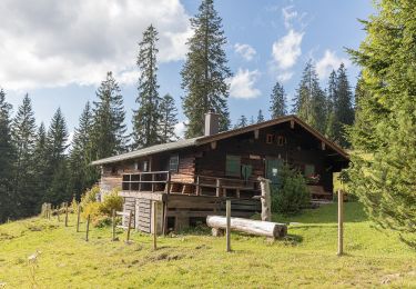 Excursión A pie Reit im Winkl - Winklmoosalm - Dürrnbachhorn - Photo