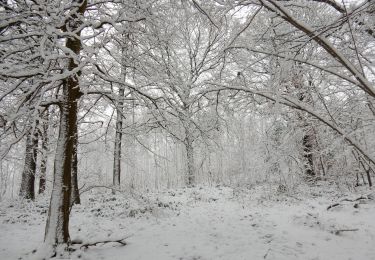 Excursión Bici de montaña Yvoir - GODINNE ... balade hivernale. - Photo