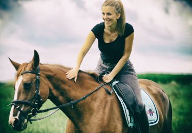 Tour Reiten Gesves - GESVES - OHEY - CIRCUIT 41- CAVALIER - BALISÉ - Photo