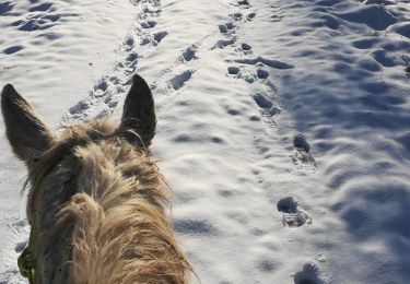 Tocht Paardrijden Saint-Martin - neige kaline vispa  - Photo