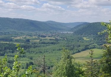 Trail Walking Allarmont - 2019-06-08 Marche Allarmont et ses rochers - Photo