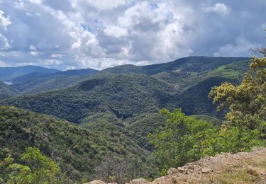 Tour Rennrad Vidauban - collobrieres gonfaron - Photo