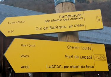 Tour Wandern Bagnères-de-Luchon - chemin des chèvres et de Louise  - Photo