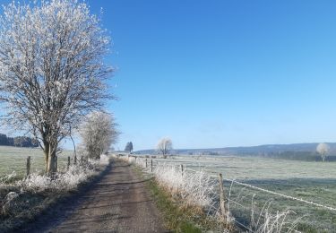Tocht Stappen Vielsalm - entre Fraiture et le plateau des Tailles - Photo