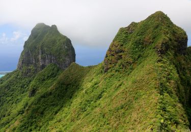 Excursión Senderismo Bora-Bora - Mont Pahia - Photo