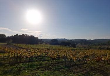 Tour Wandern Laure-Minervois - Laure Minervois - Photo