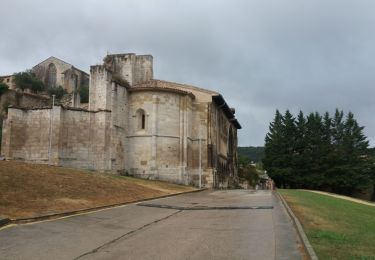 Excursión Senderismo Cirauqui - Estella - Photo