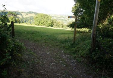 Tocht Te voet South Hams - Greenway Walk - Photo