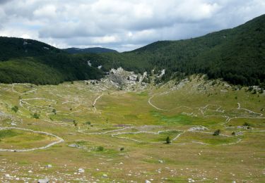 Excursión A pie  - Od Alana u srednji Velebit - Photo