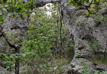 Randonnée Marche Mazaugues - Mazaugues les Arches - Photo