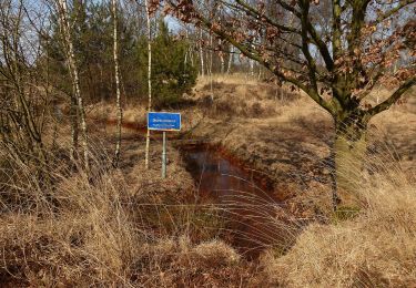 Randonnée A pied Bergeijk - Witrijtse Akker en Boslandroute - Photo