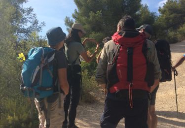 Trail Walking Cassis - Port Milou - Photo