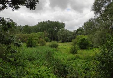 Tocht Stappen Huldenberg - Neerijse - Photo