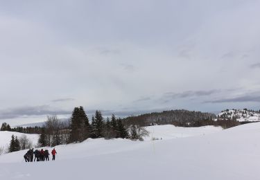 Randonnée Raquettes à neige La Pesse - la Pesse rando raquette neige  - Photo