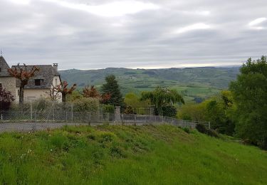 Excursión Senderismo Golinhac - golinhac conques  - Photo