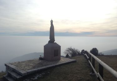 Tour Zu Fuß Bassano del Grappa - Campese - Bocchetta Campesana - Monte Caina - Photo