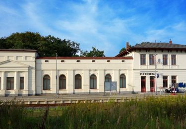 Tour Zu Fuß Bad Doberan - Hütter Wohld - Bad Doberan - Photo