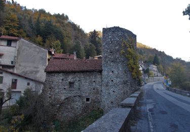 Tocht Te voet Garessio - Garessio,Ponte dei Corni-Fontana delle Meraviglie - Photo