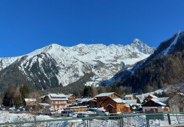 Tocht Sneeuwschoenen Chamonix-Mont-Blanc - Argentiere circuit 2 - Photo