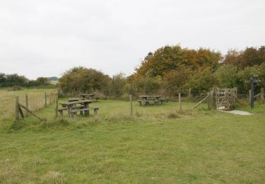 Randonnée A pied Vale of White Horse - White horse circular walk - Photo