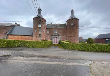 Percorso Marcia Braine-Le-Comte - Château de Bornival par le vieux canal - Photo