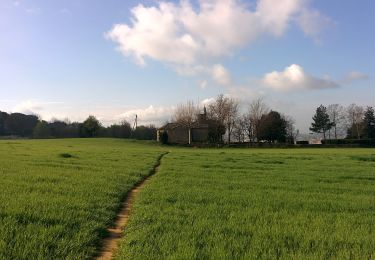 Tocht Te voet Folgueroles - Folgueroles-Sant Jordi de Puigseslloses - Photo