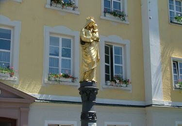 Tour Zu Fuß Bad Schussenried - Bad Schussenried: Rundweg 7 - Photo