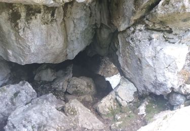 Trail Walking Brizon - BARGY: SOLAISON - ROCHERS DE LESCHAUX - CENISE - GLACIERE - Photo
