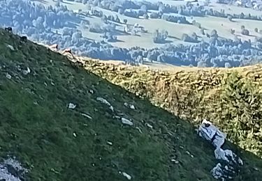 Trail Walking Aillon-le-Jeune - margeriaz - Photo