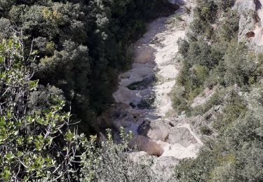 Tocht Stappen Lussan - LUSSAN (30)   Baume des Boeufs - Photo