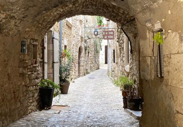 Tour Wandern Saint-Martin-d'Ardèche - Saint Martin d’Ardéche - Photo