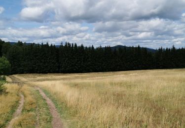 Trail Walking Saint-Nabor - boucle st nabor - Mt ste Odile  - Photo