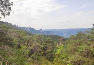 Tour Wandern Massegros Causses Gorges - Baousse del fiel - Photo