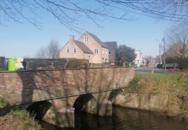 Tour Wandern Terneuzen - van Overslag naar busstation Zelzate - Photo