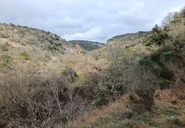 Trail Walking Bourg-Saint-Andéol - maison forestière de la laoul - Photo