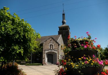 Tour Wandern Tenneville - Tenneville - Promenade de la Noire Virée (11) - Photo