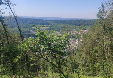 Tocht Stappen Nouzonville - Meiller - Hauteurs de Nouzonville - Photo