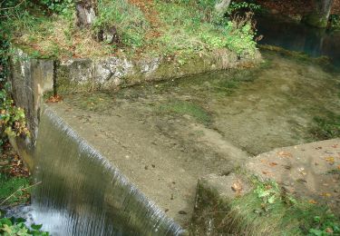 Randonnée A pied Hienheimer Forst - Rundweg Essing 5 - Photo