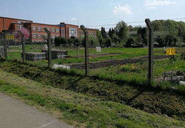 Randonnée Marche Blegny - Promenade du vendredi P10 - Photo