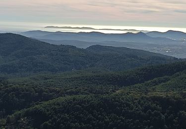 Excursión Senderismo Belgentier - barre de cuers - Photo